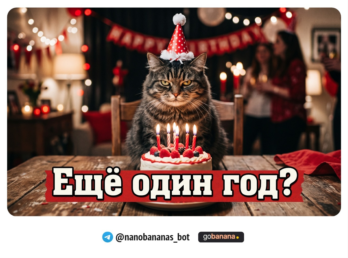1779202624_blobid6.jpg