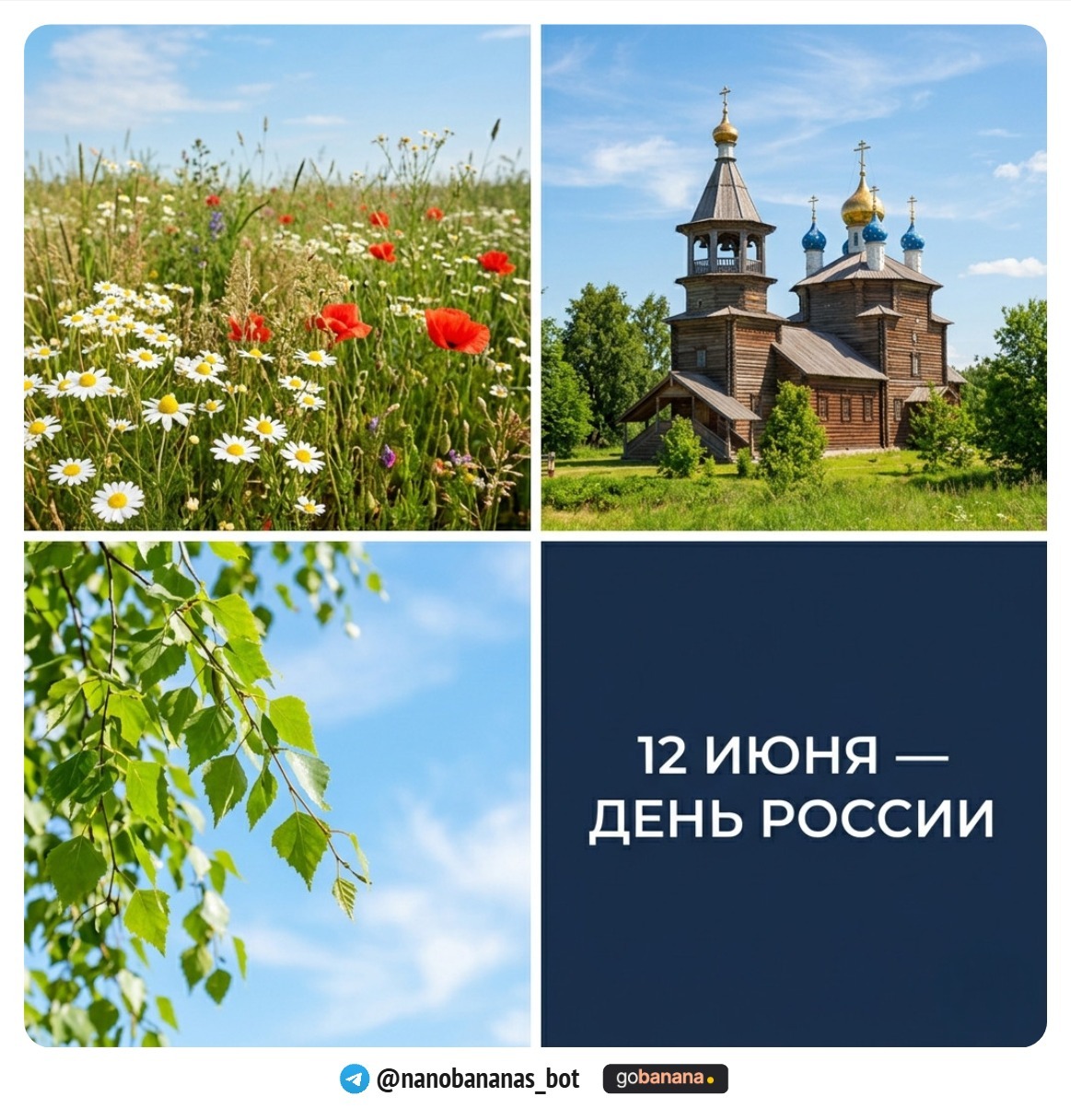 1781190541_blobid18.jpg